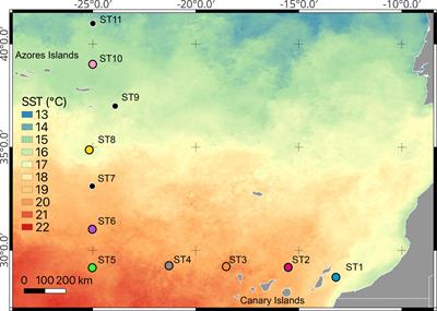 Respiration rates and its relationship with ETS activity in euphausiids: implications for active flux estimations